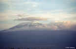 kilimanjaro.7-23.800px.jpg (32460 bytes)