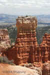WhiteonredHoodoo.Bryce.6227.jpg (118153 bytes)