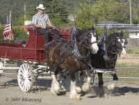 clydes-instep.KI8Q5431.jpg (158307 bytes)