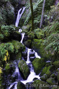 upperfalls+bitofsun-46mm.KI8Q8947.jpg (202400 bytes)