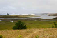 LimantourEstuary.scenic.opt.KI8Q7893.jpg (154491 bytes)