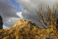 castle+snag.bigbonebench.34mm.KI8Q6815.jpg (204365 bytes)