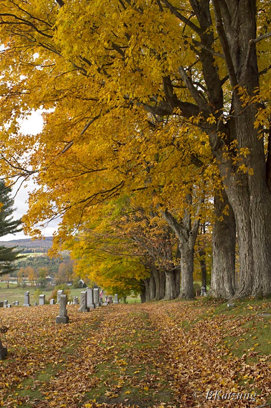 Cemetery in Peacham