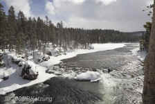 YellowstoneR.upstream.KI8Q2202.jpg (161004 bytes)