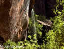 Waterfall.EmeraldPool.Zion.5661.jpg (172534 bytes)