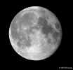 moon-mosaic2.750px.jpg (61270 bytes)