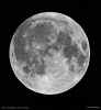 moon.7x7x150.jpg (55556 bytes)