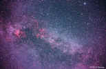 MilkyWay-Cygnus.widefield.750px.jpg (110345 bytes)