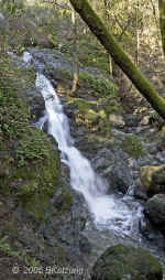 cascadefalls.Fairfax.1-10sec.KI8Q1609.jpg (123550 bytes)