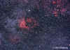 cygnus105mm.700px.jpg (214217 bytes)