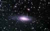ngc7331.Lrgb.030622.jpg (139170 bytes)