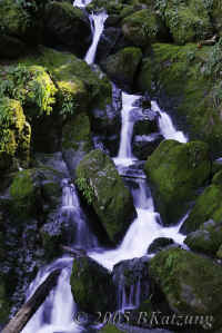 upperfalls+bitofsun-64mm.KI8Q8952.jpg (154356 bytes)