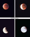 lunar-eclipse.15may03.jpg (79556 bytes)