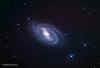 m109.Lrgb.RL-ddp.750px.jpg (75847 bytes)