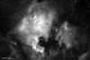 n7000.CCD-Ha.750px.jpg (68018 bytes)