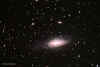 ngc7331.Lrgb.030824.jpg (95152 bytes)